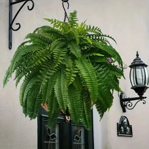 Realistic Boston Ferns 57cm/67cm Artificial