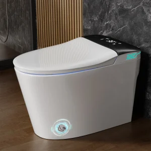 Elongated Smart Toilet with Bidet